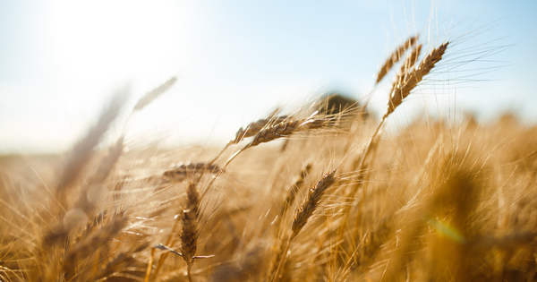 Lancement d'une initiative pour mobiliser un milliard d'euros pour l'agriculture fran�aise