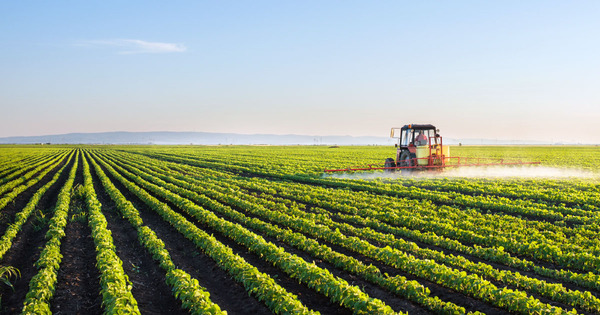 Pesticides SDHI : trois associations demandent le retrait d'autorisations de mise sur le marché