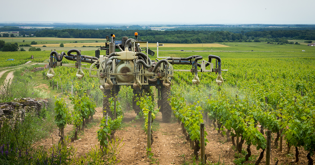 Pesticides : le Conseil d'État rejette les recours de la Coordination rurale sur les distances d'épandage