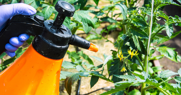 L'encadrement des pesticides destins aux jardiniers amateurs est prcis