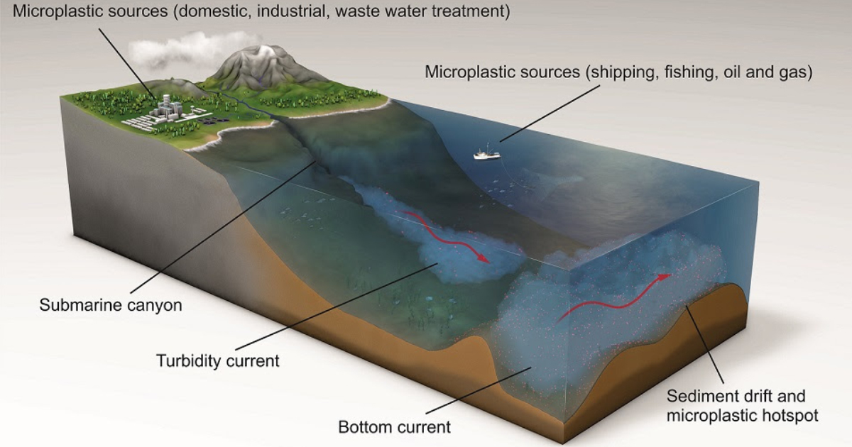 Microplastique : les plus hauts niveaux jamais mesurés, découverts au fond de la Méditerranée