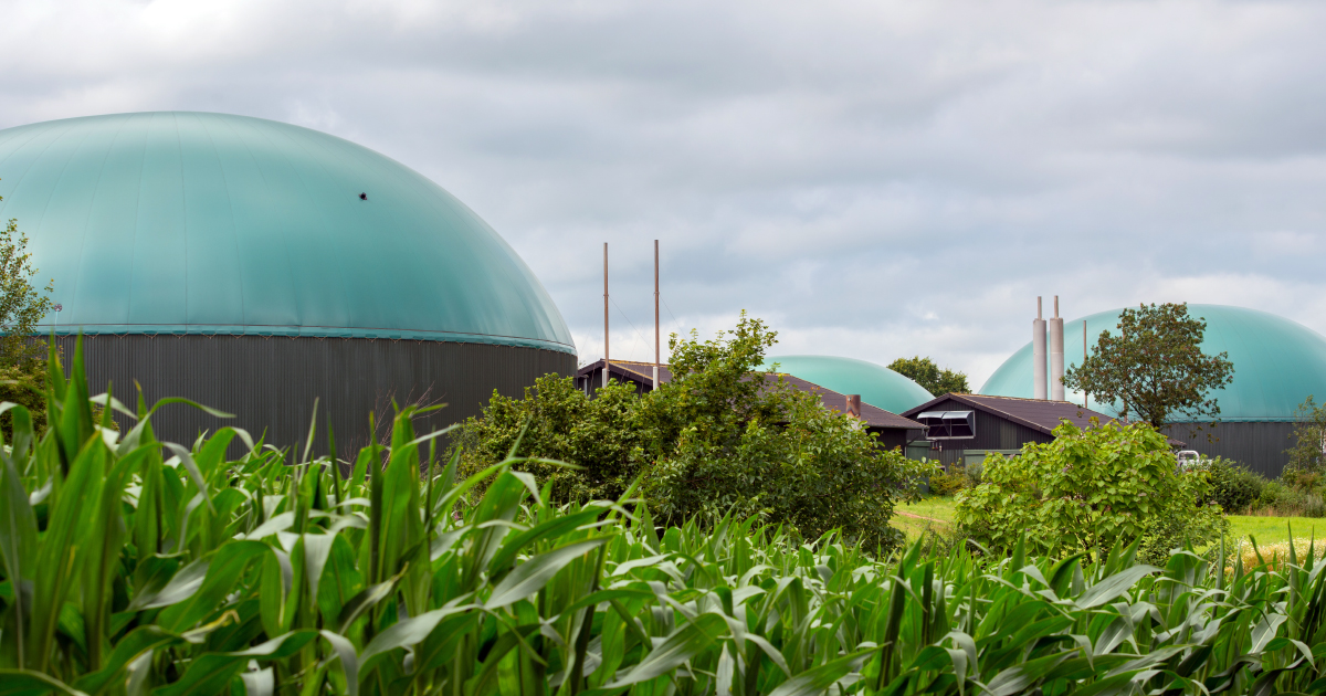 Biomthane: plus d'un millier de projets en perspective 