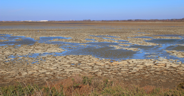 S�cheresse�: les pr�fets prennent les premiers arr�t�s de restriction d'eau