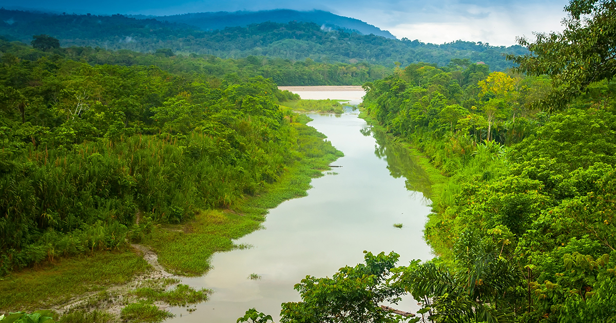 Brésil : Total se retire des projets de forages près du récif de l'Amazone 