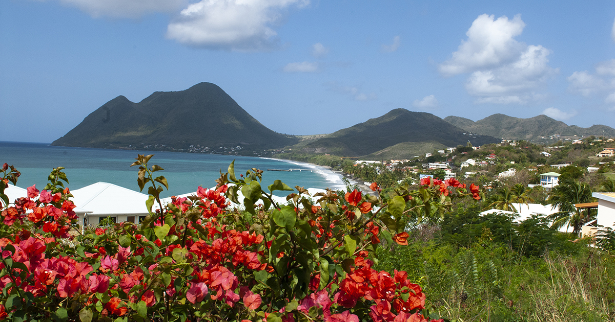 Antilles : alerte sur un ver invasif, qui pourrait menacer la biodiversité des sols