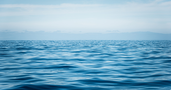 Santé des océans et des eaux douces de l'UE : l'Ifremer consulte les Français