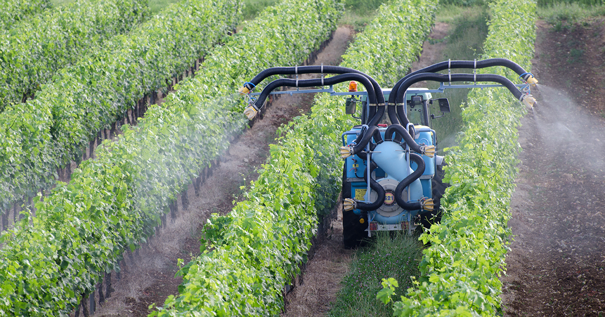 Pesticides : deux châteaux viticoles condamnés pour un épandage à proximité d'une école