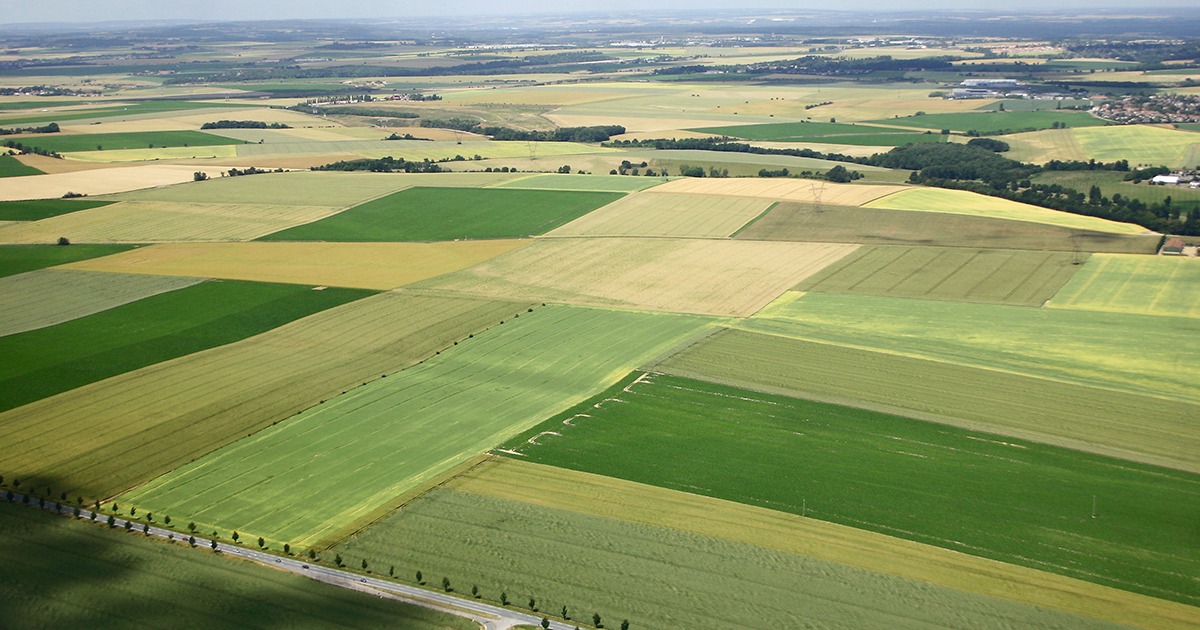 Politique agricole commune: accord informel sur les soutiens financiers jusqu'en 2022