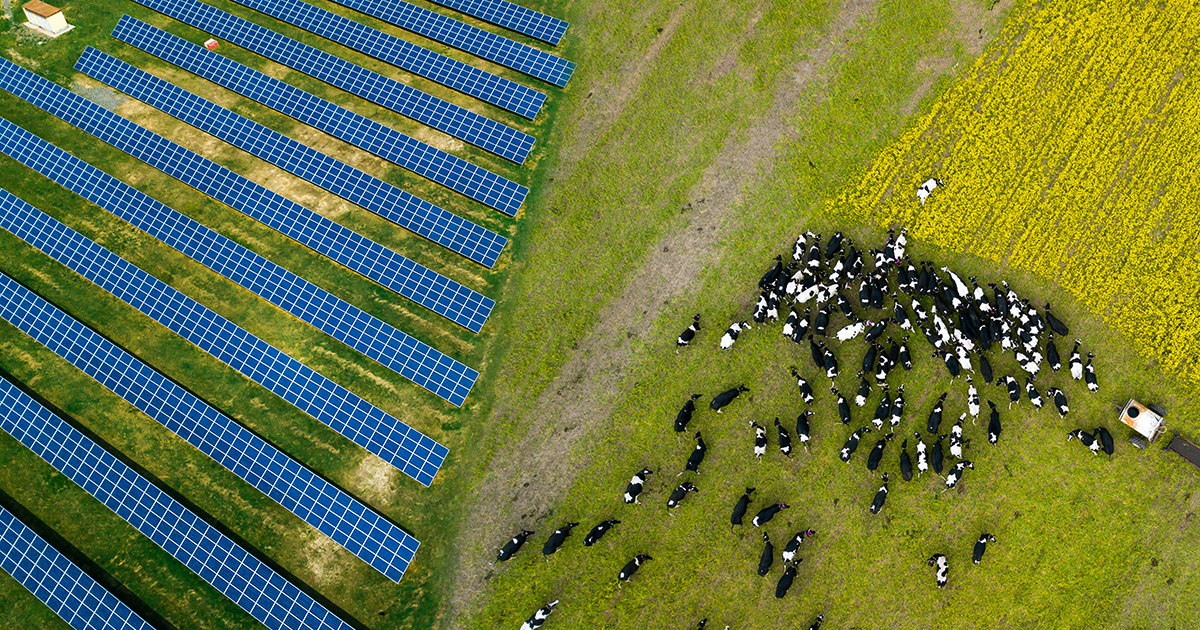 Photovoltaque sur terrains agricoles: EDF signe une charte avec les instances agricoles
