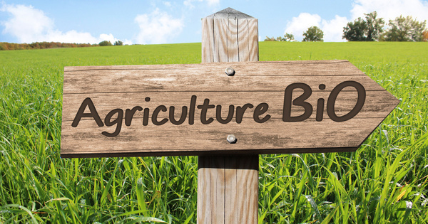 D�velopper les sources d'azote est indispensable au d�ploiement de l'agriculture biologique