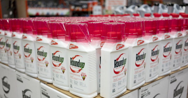 Glyphosate�: le principe de pr�caution remet en cause les autorisations de mise sur le march�