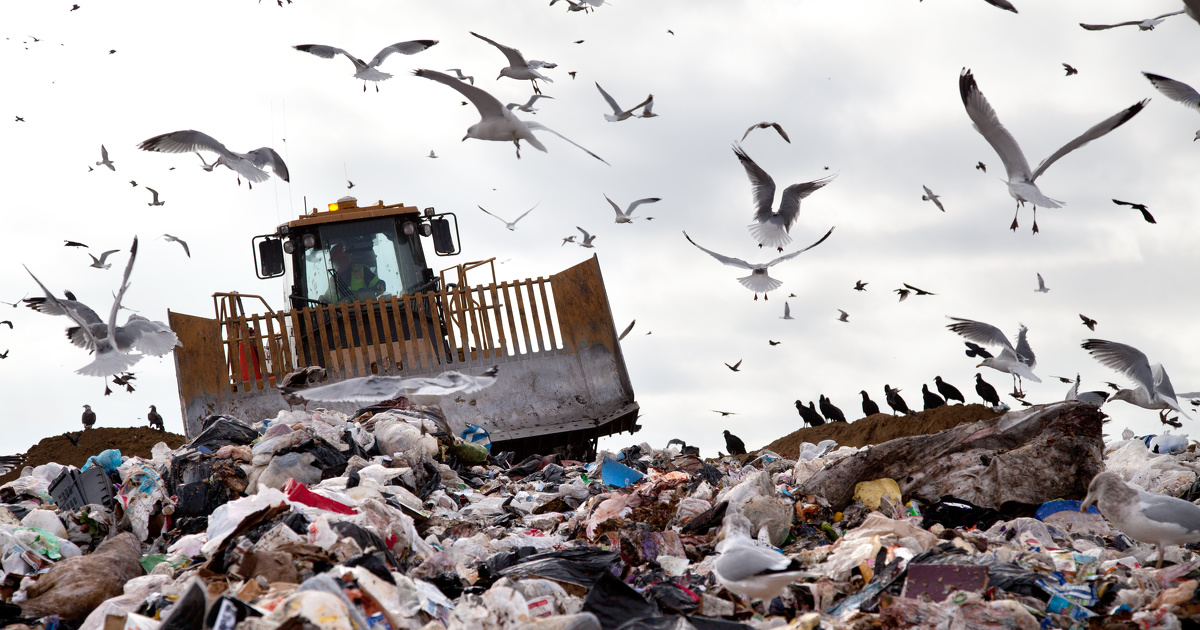 Mise en dcharge: un dcret encadre le prix plafonn accord aux refus de tri et dchets issus du recyclage