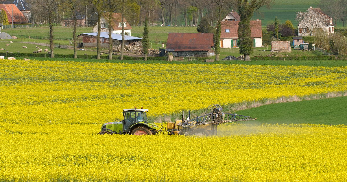 Pesticides: des consultations publiques sur les chartes lances pendant l't
