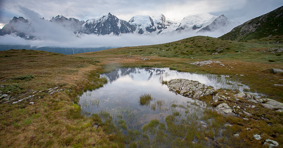Un projet de sciences participatives pour dresser le portrait des zones humides d'altitude