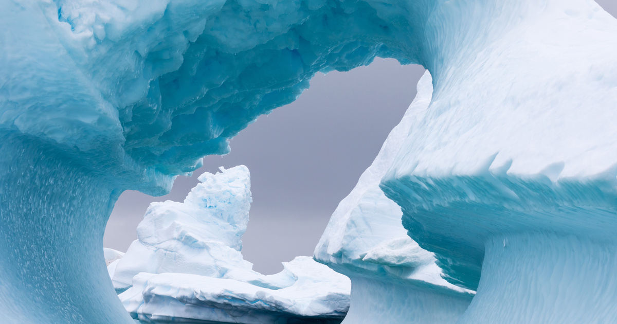 Le G20 soutient la cration d'aires marines protges en Antarctique