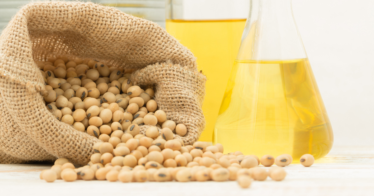 L'huile de soja sera formellement interdite dans les biocarburants 
