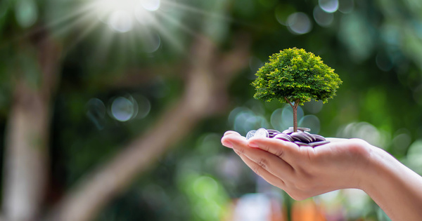La r�duction d'imp�t pour la protection du patrimoine naturel passe � la trappe