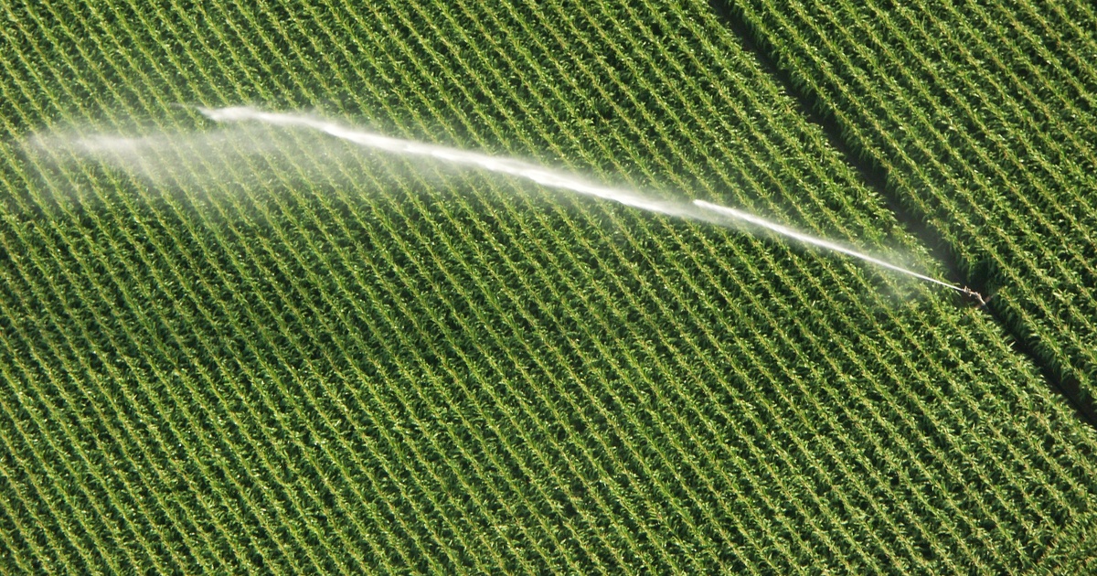 Varenne agricole de l'eau : cinq organisations dénoncent « une parodie de consultation »