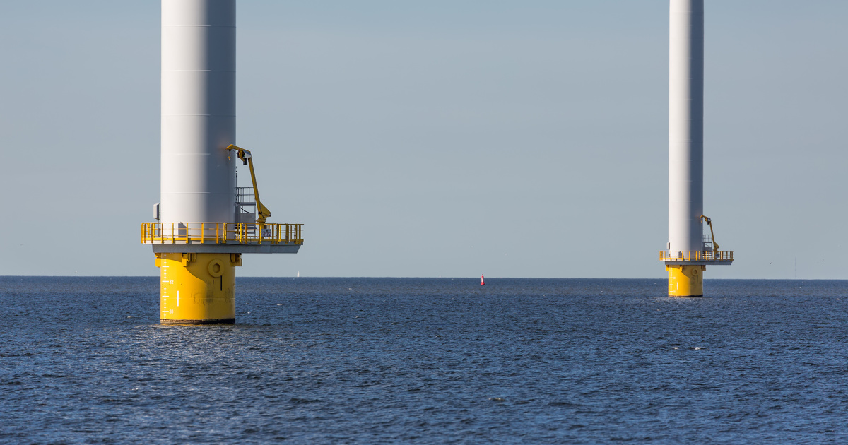 Les colonies d'organismes marins des éoliennes offshore permettent de stocker du carbone