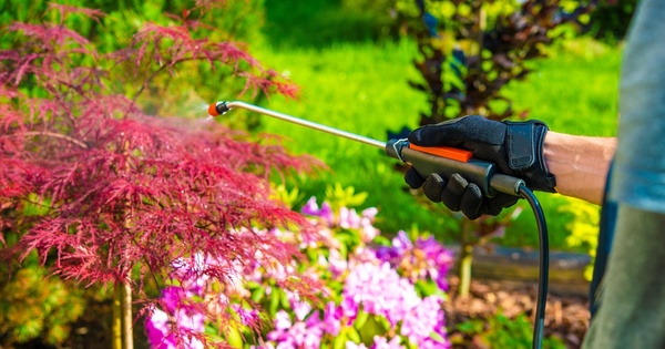 La justice annule les arr�t�s antipesticides de cinq communes des Hauts-de-Seine