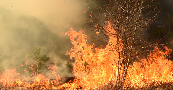 Le changement climatique augmente la fréquence des feux de forêt en Europe 