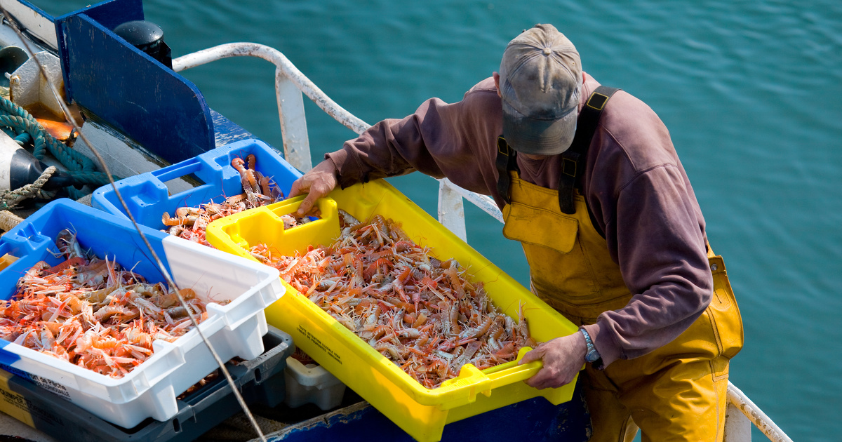 Pêche : accord au Conseil de l'UE sur les captures pour 2022