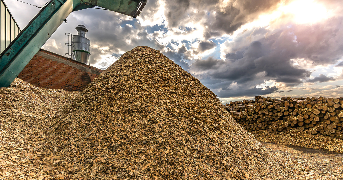 Production de granulés de biomasse : un appel à manifestation d'intérêt pour changer d‘échelle