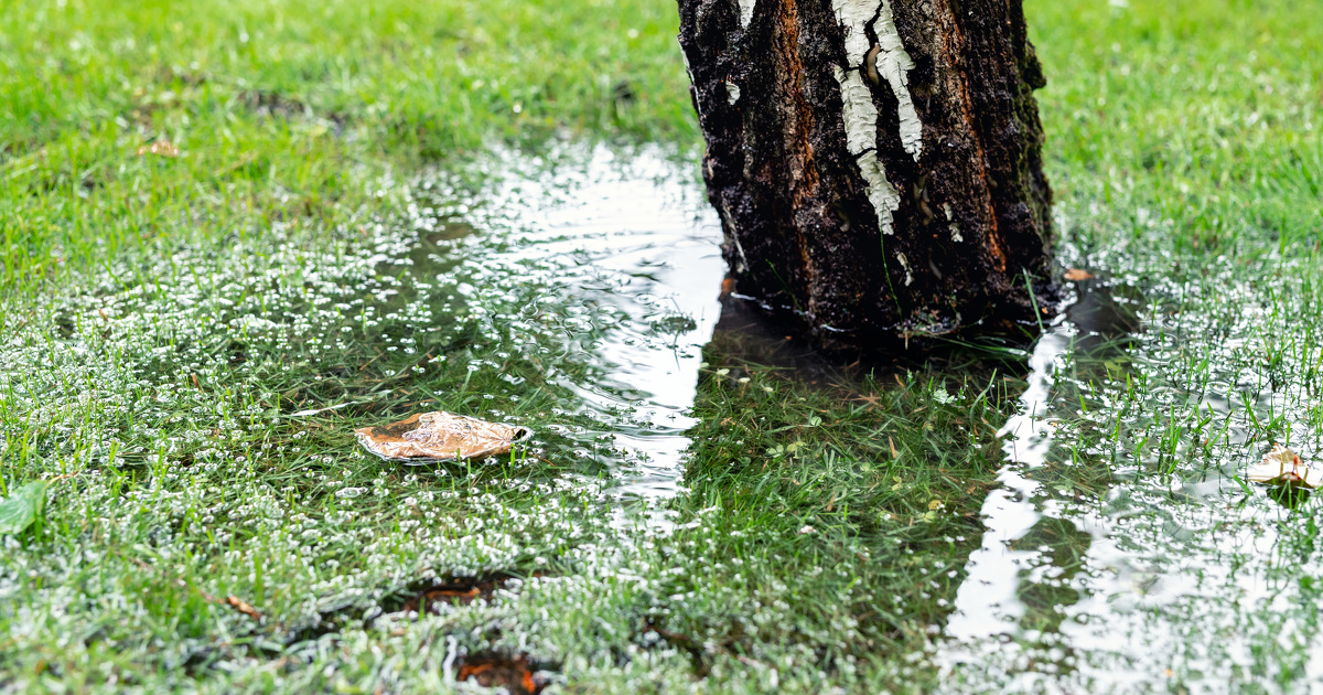 Les communes n'ont pas l'obligation de recueillir l'ensemble des eaux de pluie, confirme le Conseil d'tat