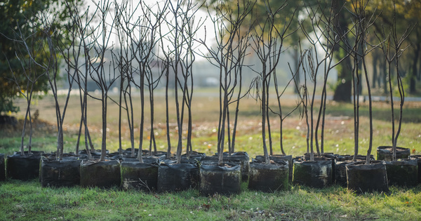 Un arr�t� pour relancer le d�ploiement du label bas carbone