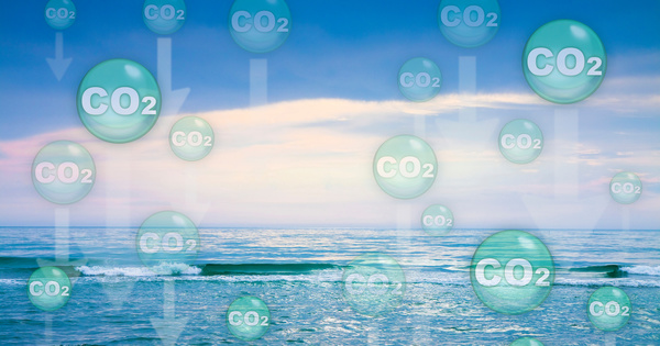 Les transferts de carbone terre-océan sont sous-estimés, selon le CEA