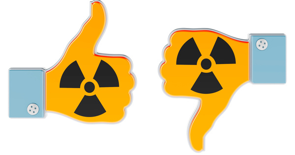 Nucléaire : le Cese propose une mise à plat des controverses 