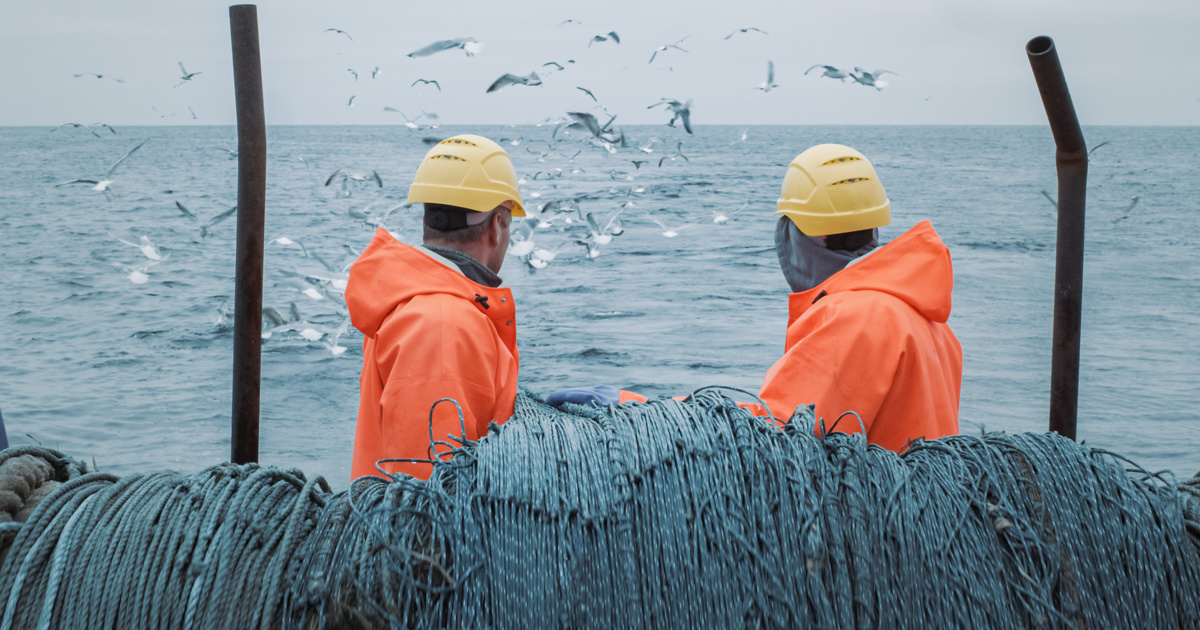 Senne démersale : les eurodéputés font obstacle à cette méthode de pêche très controversée dans la Manche