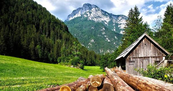 Le Cerema a évalué les services écosystémiques fournis par la forêt alpine