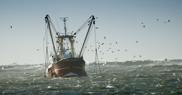Pêche : l'Europe rejette finalement l'interdiction de la senne démersale