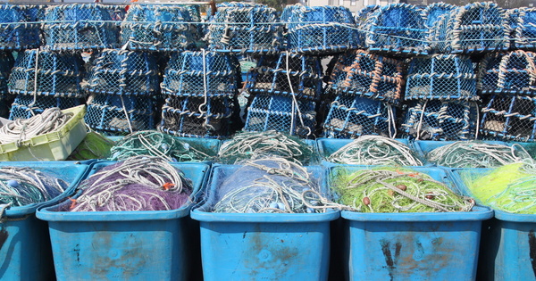 Plastique : Bruxelles demande à la France de mieux appliquer le droit européen relatifs aux engins de pêche