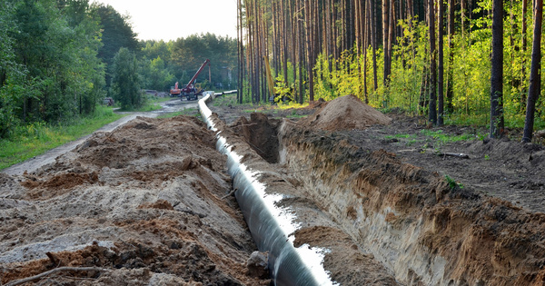 D�rogation Esp�ces prot�g�es�: le non-respect des arr�t�s pr�fectoraux est un d�lit