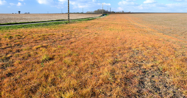 Glyphosate�: la Commission europ�enne va devoir encore trancher