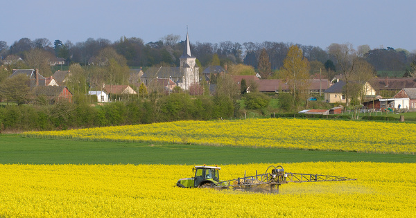 Pesticides CMR et distances de s�curit�: le Conseil d'�tat prononce une astreinte � l'encontre de l'�tat