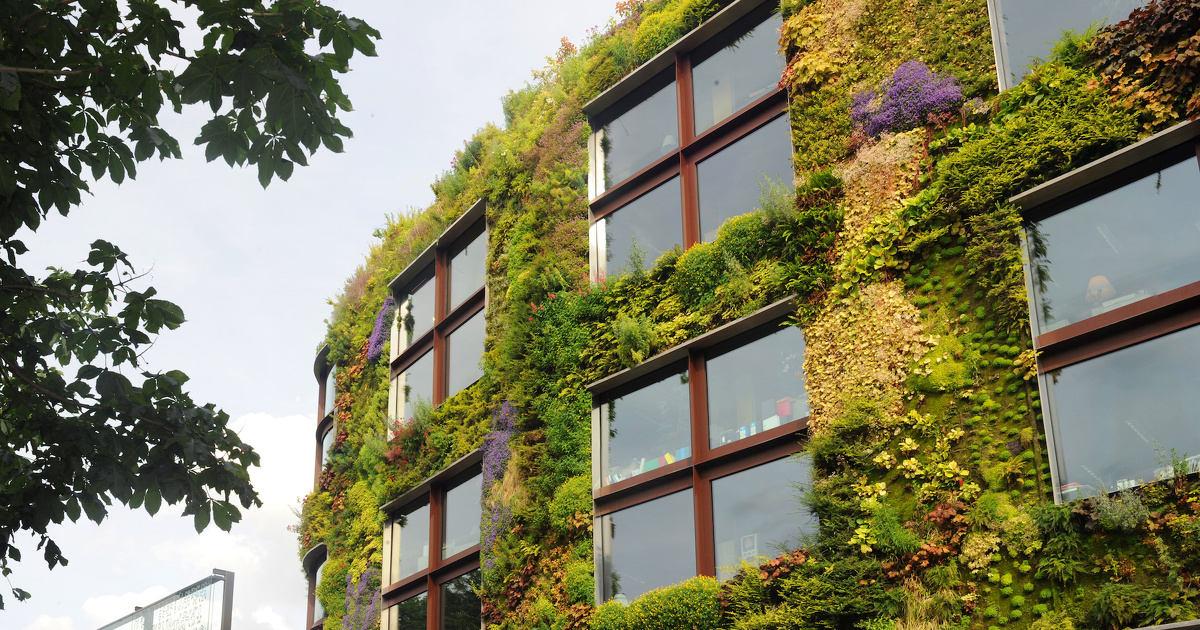 Végétalisation des bâtiments : une possibilité de déroger aux règles d'urbanisme