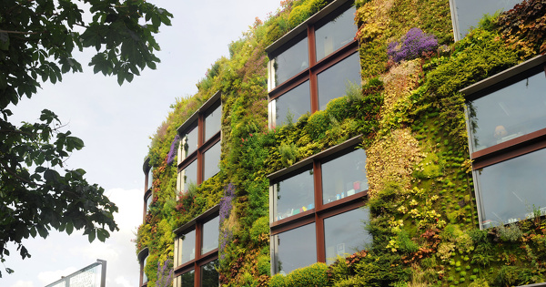 Végétalisation des bâtiments : une possibilité de déroger aux règles d'urbanisme