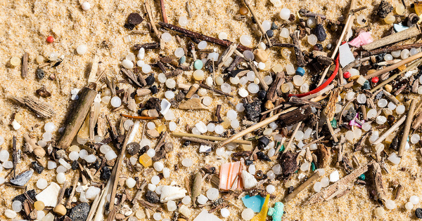 Des milliers de billes de plastique polluent des plages de Loire-Atlantique 