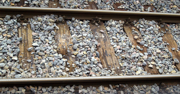 Bois trait� � la cr�osote�: l'Anses propose une restriction � l'Echa