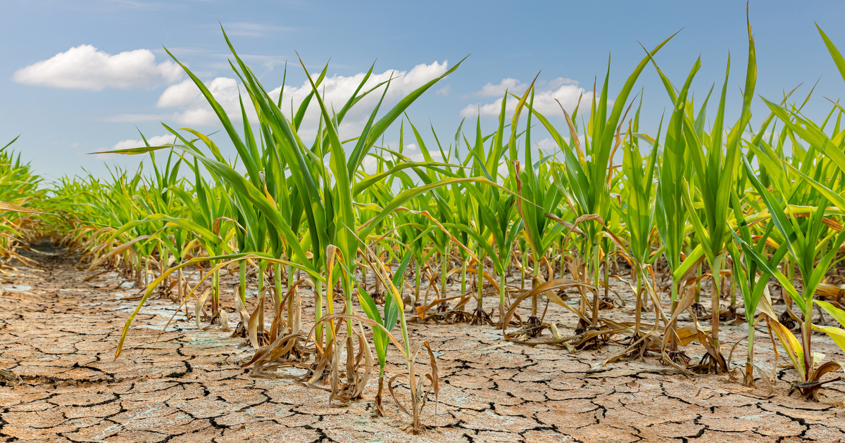 Varenne agricole de l'eau : le ministère de l'Agriculture lance une mission « production résiliente »