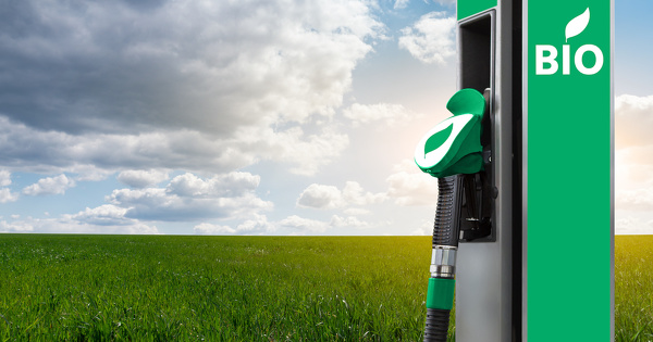 Une mission d'information du Sénat se penche sur les biocarburants et l'hydrogène vert