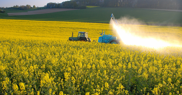 Pesticides : l'association Phytovictimes dénonce le non-respect de la présomption d'imputabilité