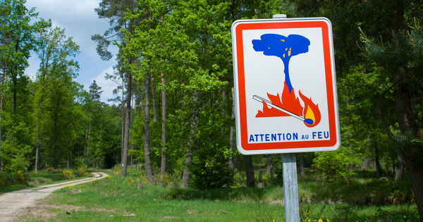 Prévention des feux de forêt : les instructions du Gouvernement aux préfets