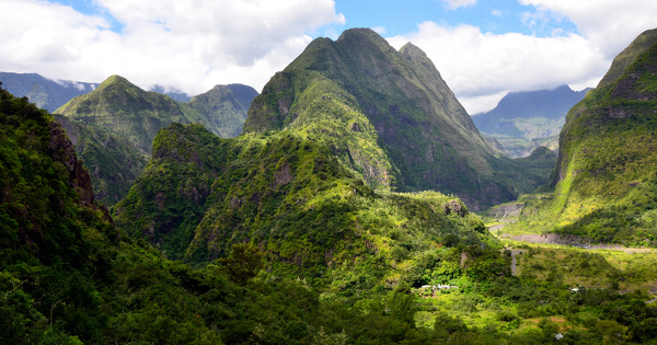 Biodiversité : La Réunion se dote d'une agence régionale de la biodiversité 