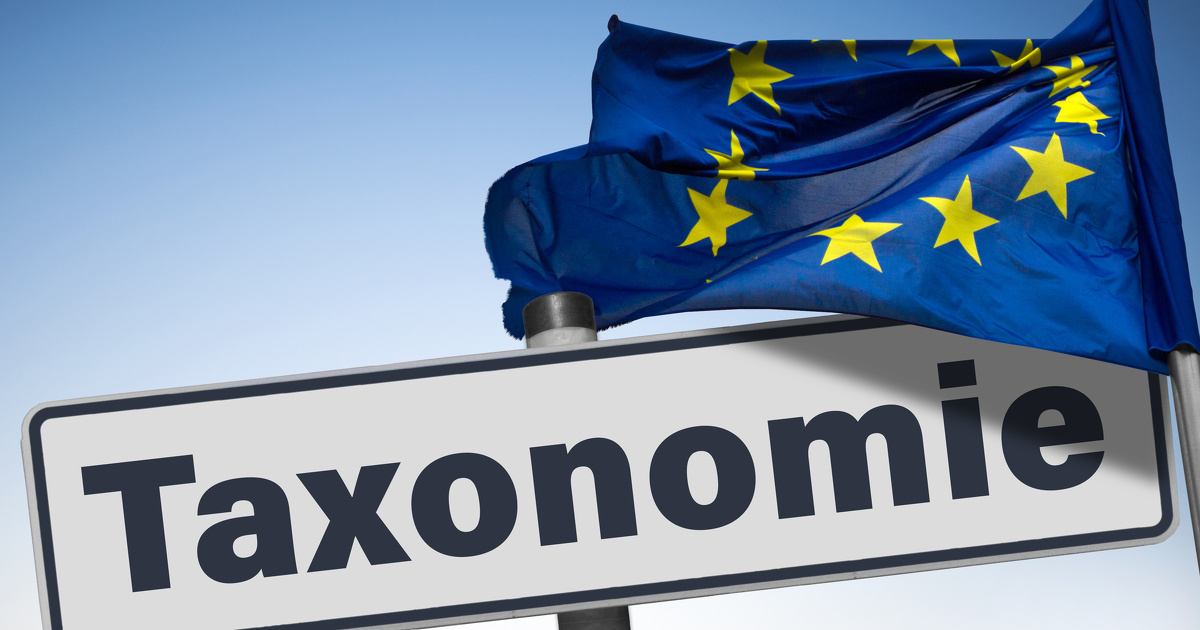 Taxonomie: le Tribunal de l'UE juge irrecevable le recours d'un eurodput