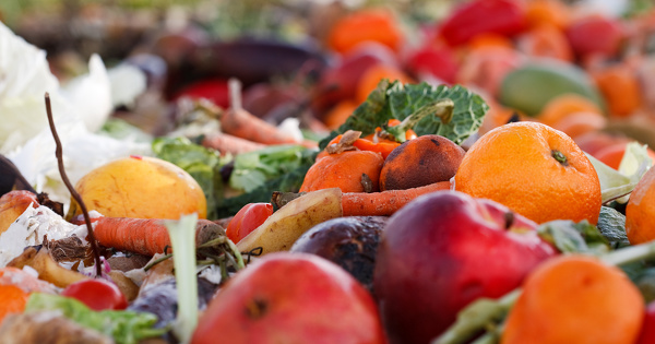 Gaspillage alimentaire : la Commission propose deux objectifs de réduction pour la période 2020-2030