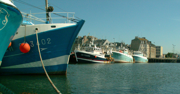 Flotte de pêche : les principales mesures du plan de transition énergétique 
